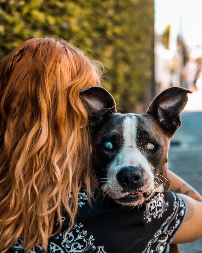 A woman embraces a blind dog outdoors, showcasing love and adoption.